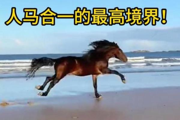 梦见马是什么预兆 女性(梦见马是什么预兆 女性梦见马奔跑了)