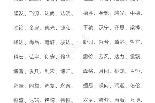 免费公司起名字大全集(免费公司取名大全免费2021年)
