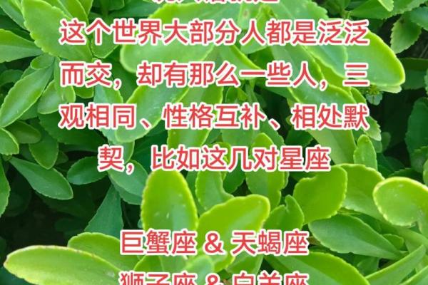 巨蟹座intj(巨蟹座intj般配)