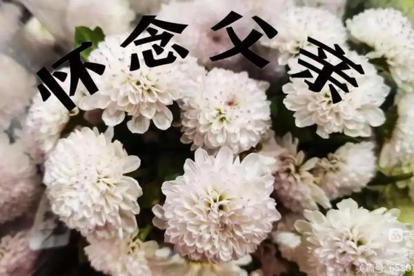 梦见去世的爸爸(梦见已过世的爸爸是什么兆头)