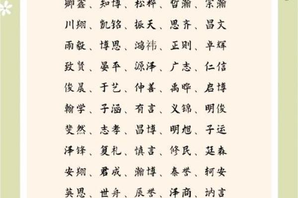 最大气的男孩名字大全(大气的名字 男孩)