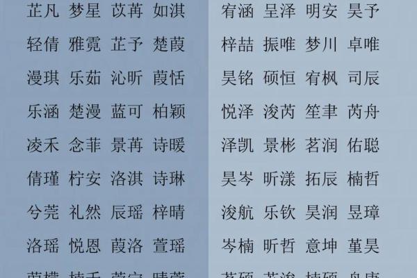 小孩起名大全女孩(小孩起名大全女孩名字)