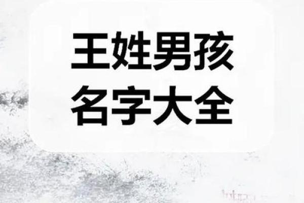 王起名字女孩三个字(王三个字的名字女孩)