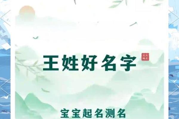 王起名字女孩三个字(王三个字的名字女孩)
