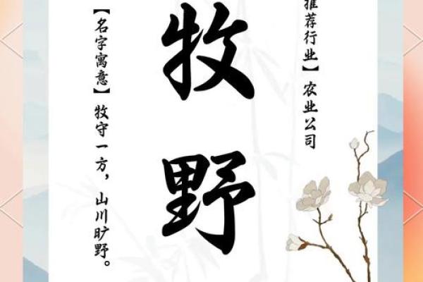 农业公司取名字大全集(农业公司取名字大全集最新)