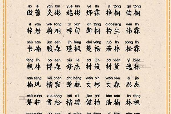 2009年男孩起名大全(2009年取什么名字好)