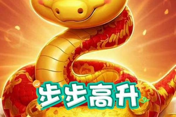 2025年生肖蛇适合安门的好日子推荐_属蛇人2025年(属蛇的人在2025年运势)