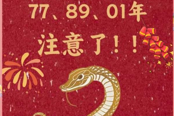 2025年生肖蛇适合安门的好日子推荐_属蛇人2025年(属蛇的人在2025年运势)