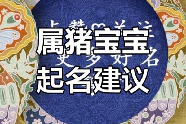 属猪公司起什么名字好(适合属猪的公司名字大全)