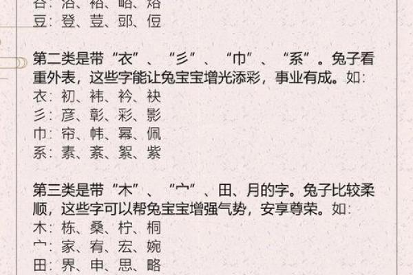 女孩起名字大全免费2023年属(女孩起名字大全免费2023年属兔带子的名字)