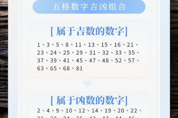 公司名称查吉凶(查公司名称吉凶预测)