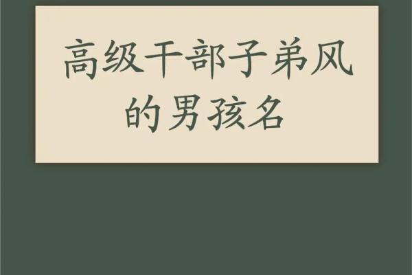 高字起名字大全男孩(高字起名字大全男孩属虎)