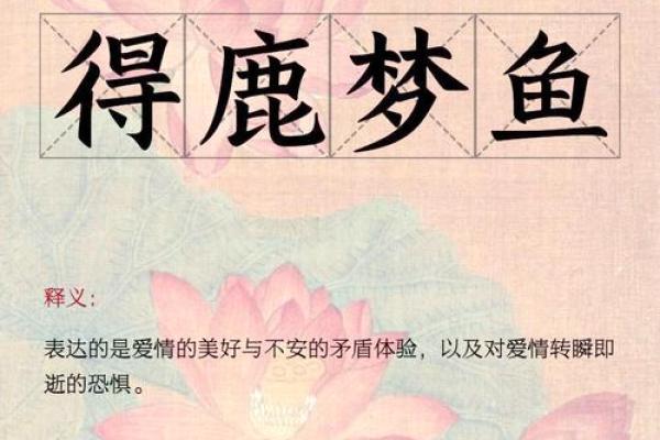 梦到好多鱼(梦到好多鱼在抓鱼是什么征兆)