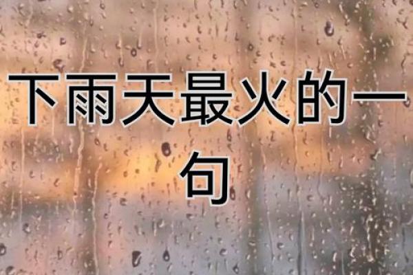 梦到下雨(梦到下雨发大水是什么意思)
