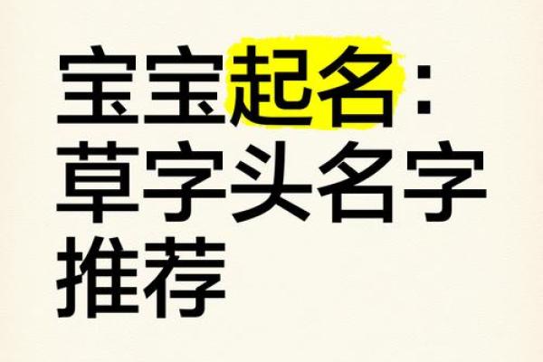 属羊女孩草字头吉利的名字(带草字头羊宝宝名字)