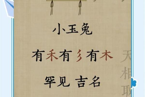 属兔带草字头女孩名字大全(属兔带草字头女孩名字大全三个字)