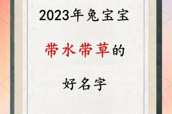 属兔带草字头女孩名字大全(属兔带草字头女孩名字大全三个字)