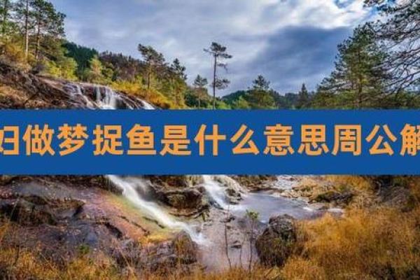 梦见鱼是什么意思有什么预兆(梦见鱼是什么意思有什么预兆周公解梦)