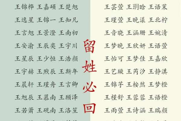 王姓女孩子取名字大全(王姓女孩寓意好的名字)