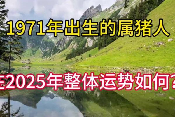 1971年属猪人公司取名(属猪的人公司名字)