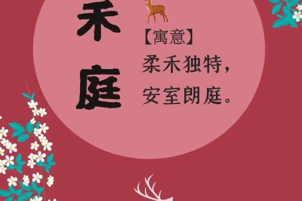 软装公司起名字大全免费(软装公司起名字大全免费起名)