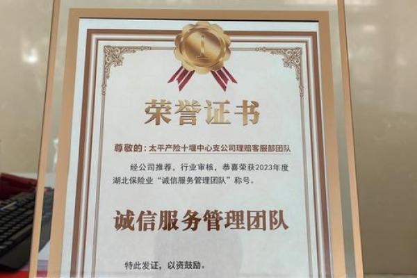 保险公司团队名称(保险公司团队名称怎么写)
