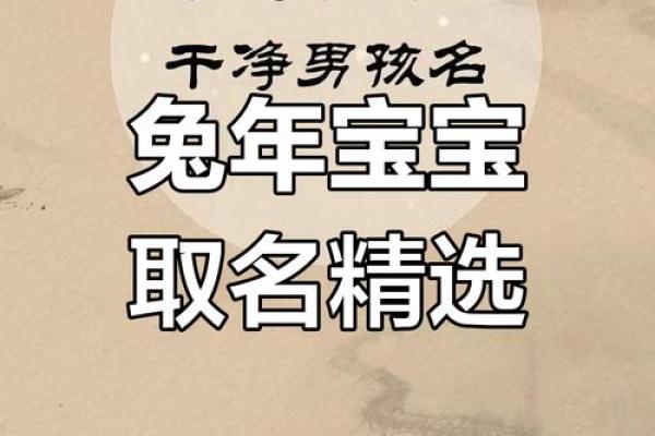 2023男孩大气有涵养的名字(2023年兔宝宝男孩)