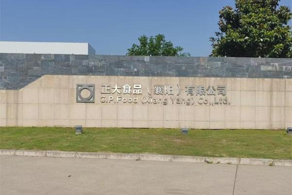 食品有限公司名称大全(食品有限公司名字大全)