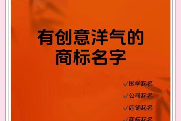 比较洋气公司名字大全(洋气公司名字大全 必过)