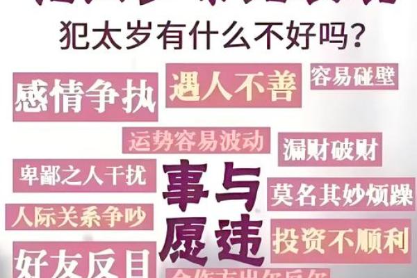 2025年生肖猪结婚吉日推荐最佳婚期一览(猪2025年运势完整版)