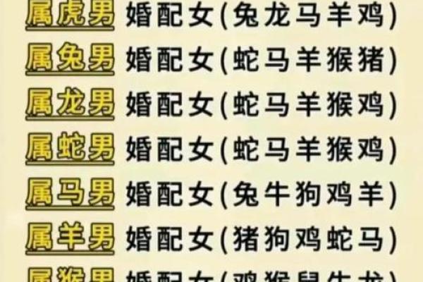 巨蟹座属猪男生运势(巨蟹座属虎男生性格)