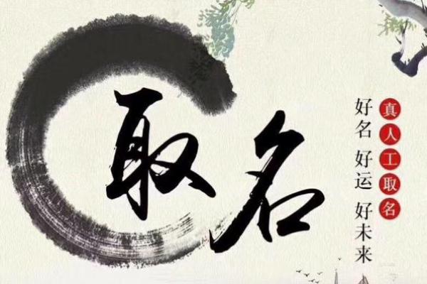 公司测名网周易免费取名(公司测名大全免费查询)
