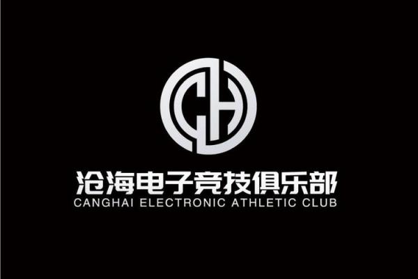 好听的电子公司名字(好听的电竞俱乐部名字)