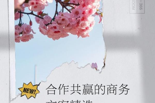 合作共赢公司名字(合作共赢的公司)