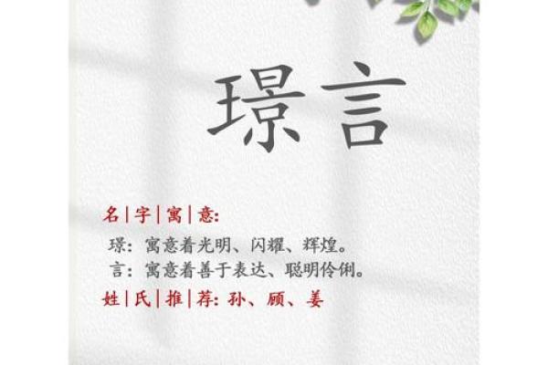 璟字公司取名字大全(璟公司后面加什么字好)