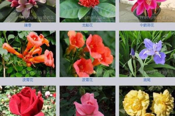 男生在公司用什么花名好(公司起花名男的大全)