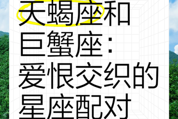 巨蟹座和什么座最配对(巨蟹座和什么座最配对朋友)