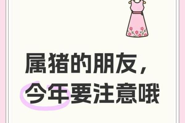 2025结婚大吉日子属猪(2022年属猪结婚的最佳日子是什么时候)