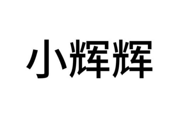 辉字取公司名(辉字取公司名最佳)