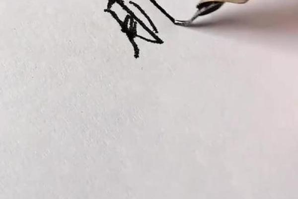 带鹏字公司名字大全集(带鹏名字寓意好的公司名)