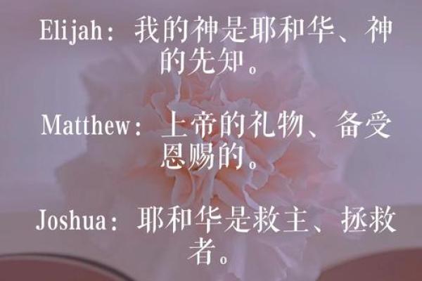 广告公司英文名(广告公司英文名字简单大气)