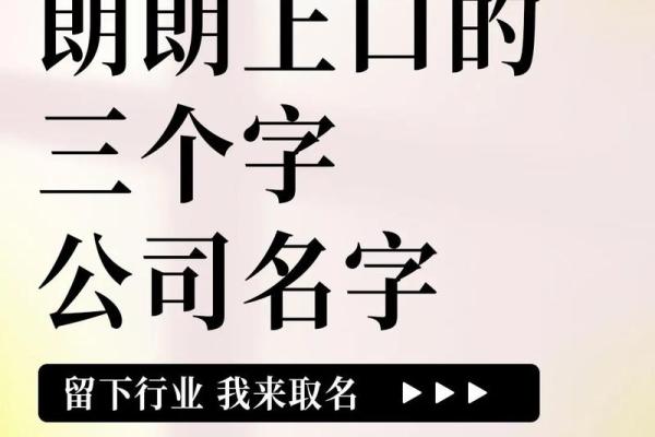 3个字商贸公司名字大全(三个字商贸公司起名大全)