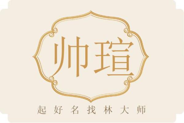 带帅字的公司名字怎么起(带帅字的男孩名字大全)