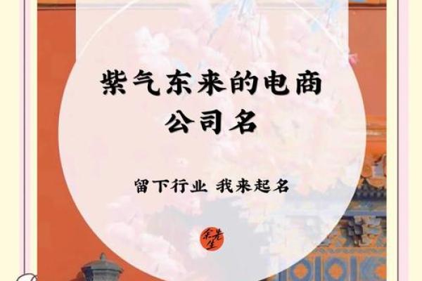 霸气的电商公司名字(有创意大气的电商公司名字大全)