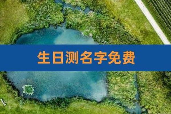 518公司测名打分(1518公司测名字免费测试)