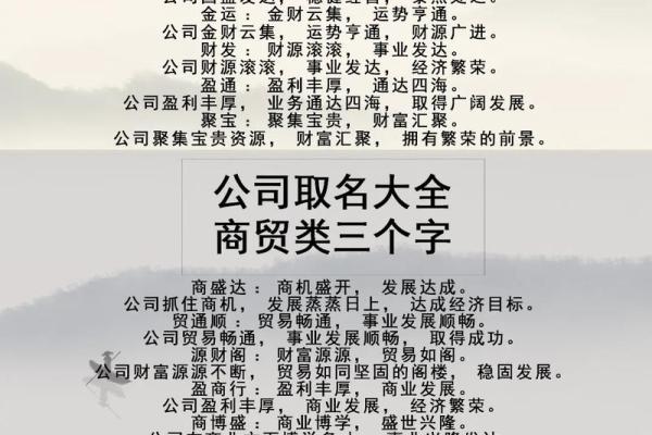 机电公司名称大全简单大气(机电公司名称大全免费)