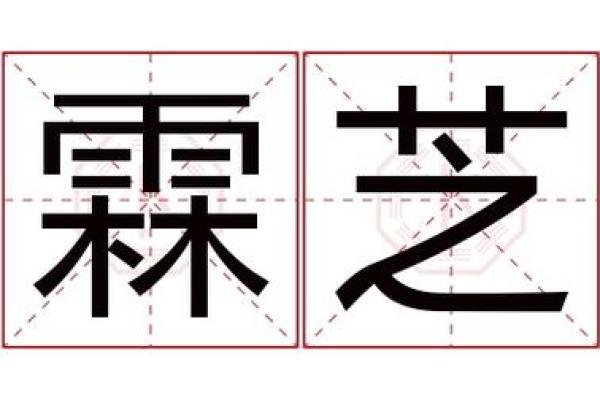 以霖名字起公司名字(以霖名字起公司名字怎么起)
