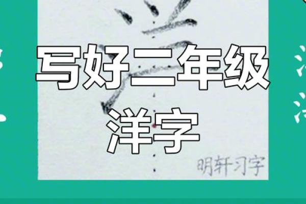 带洋字的公司名称(用洋起个公司名字)