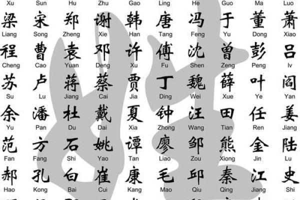 金土公司名字(土生金公司名字)