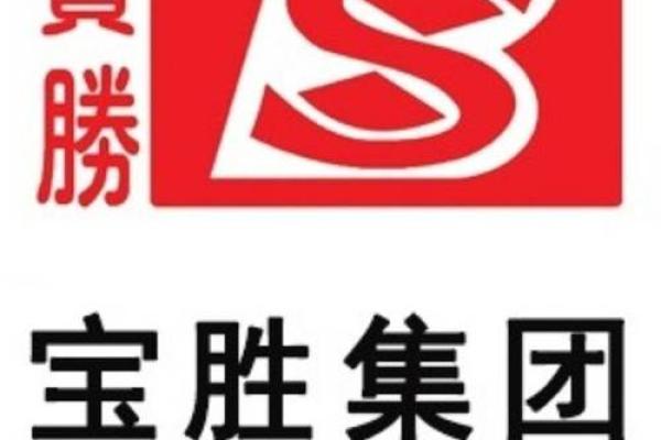 胜字开头的公司名字(胜字开头的公司名字大全四个字)